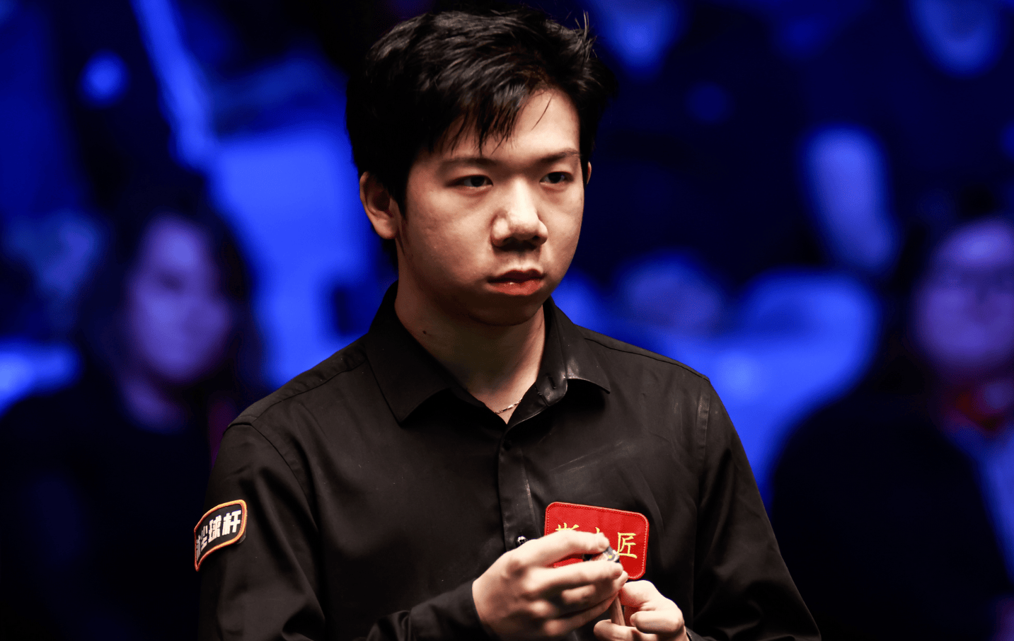 进行了SE 进行了SE